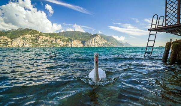 Malcesine