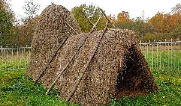 Музей-памятник Курінь Леніна в Розливі