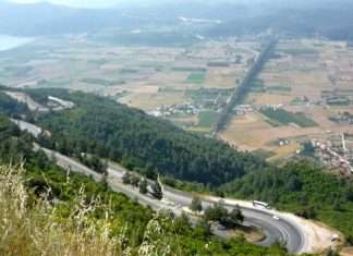 Алея кохання