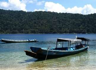 Кораловий острів