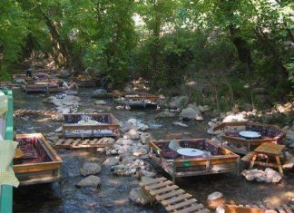 Ресторан «Ботанік»