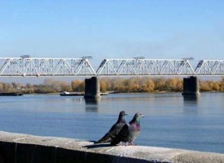 Перший залізничний міст