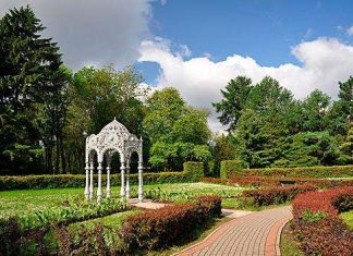 Центральний ботанічний сад Національної академії наук Білорусі