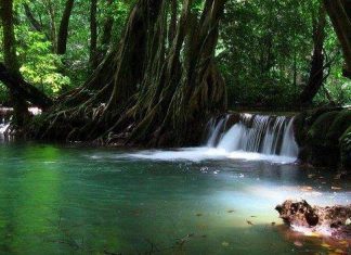 Національний парк Тхан Боккхорани