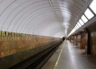 Станція метро Дмитрівська
