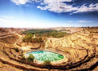 Оазис Нефта