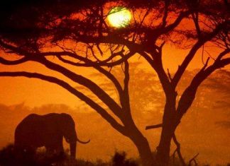 Національний парк Амбоселі