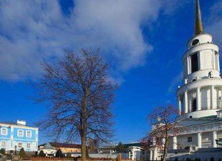 Місто Задонських