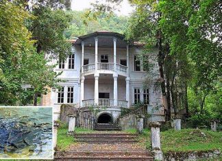 Форелеве господарство в с. Отхара