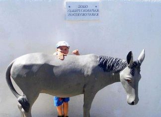 Скульптура осла в Ие