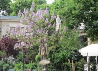 Сад Єлисейських Полів