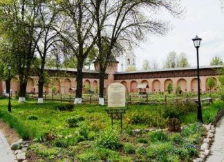 Аптекарський город Спасо-Евфимиева монастиря