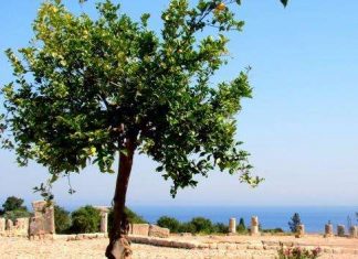 Руїни храму Афродіти