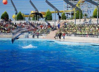 Дельфінарій Ададленд