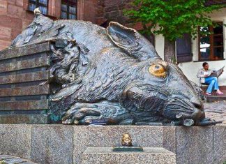 Заєць Дюрера