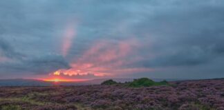 Прогулки по вересковым пустошам: Ощущая перемены в ландшафтах Британии