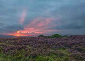 Прогулянки болотами: відчуйте зміни в британських ландшафтах