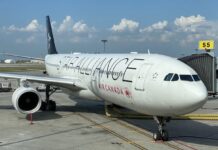Maximalizace loajality Star Alliance: Který program je lepší?
