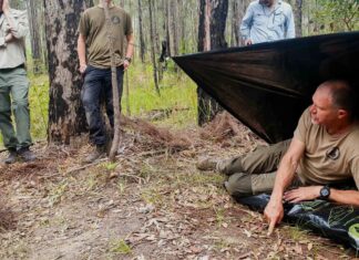 Уроки дикої природи: як навички виживання покращують повсякденне життя