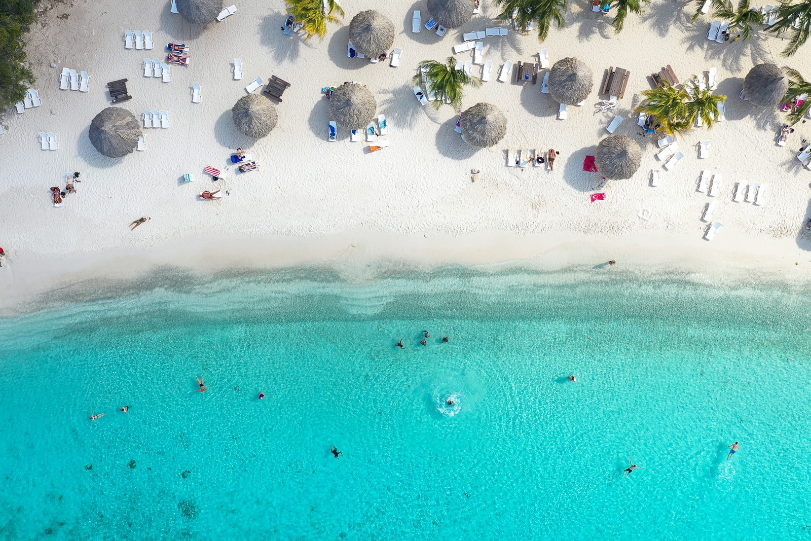 4e5e914e-07b9-418a-97ba-4e805291c49e