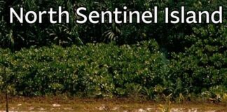 Pulau Sentinel Utara: Suku Terakhir yang Tak Tersentuh