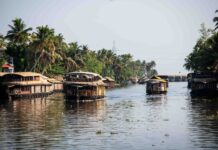 Керальські Заводи: Баланс Між Туризмом та Традиціями