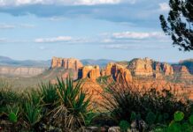 9 Лучших Направлений в США для Путешествий в Одиночку в 2026 Году