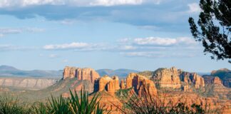 9 Лучших Направлений в США для Путешествий в Одиночку в 2026 Году