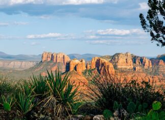 9 Лучших Направлений в США для Путешествий в Одиночку в 2026 Году