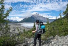 Национальные парки переживают рекордное количество посещений в 2025 году: отход от переполненных направлений