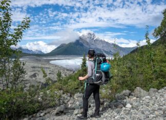 Национальные парки переживают рекордное количество посещений в 2025 году: отход от переполненных направлений