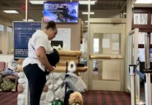 Заметки путешественника: от культурных промахов до очередей в аэропортах