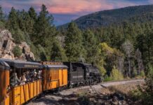 Незвичайний доступ до дикої природи: як використовувати старі залізничні маршрути для віддалених походів