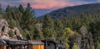 Niezwykły dostęp do dzikiej przyrody: jak korzystać ze starych tras kolejowych podczas wędrówek po backcountry