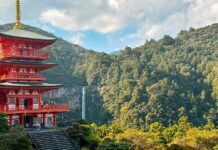 Le sentier Kumano Kodo au Japon : un ancien chemin vers le bien-être