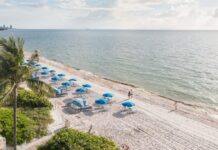 Pulse de l’industrie du voyage : des lacunes en matière de données aux changements de dirigeants