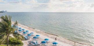 Nadi Industri Perjalanan: Dari Kesenjangan Data hingga Pergeseran Eksekutif