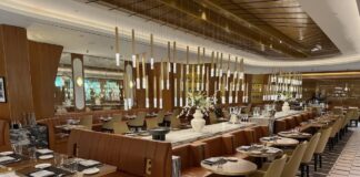 Navigace v síti salonků Delta One: umístění, pravidla přístupu a plány do budoucna