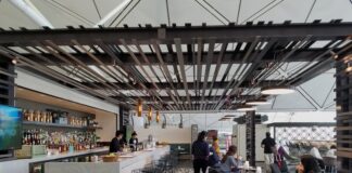 The High-Stakes Game of Premium Credit Cards: How to Turn $2,600 in Fees into a Profit