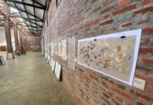 Паперова революція у Баричарі