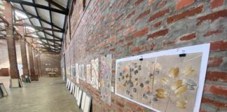 Barichara’s Paper Revolution